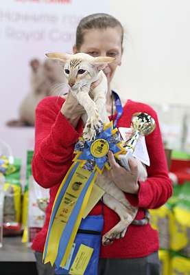   11-12  2015 WCF- 10-202-169A5357 copy.jpg